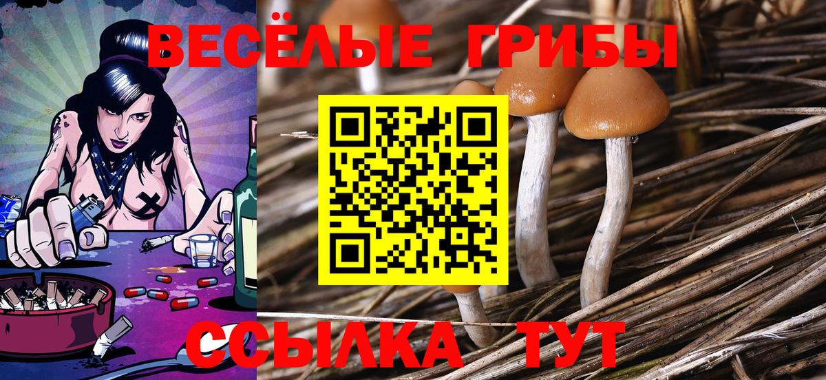 Псилоцибиновые грибы Psilocybe  Псилоцибиновые грибы ЛСД  Вход с VPN  Канск 