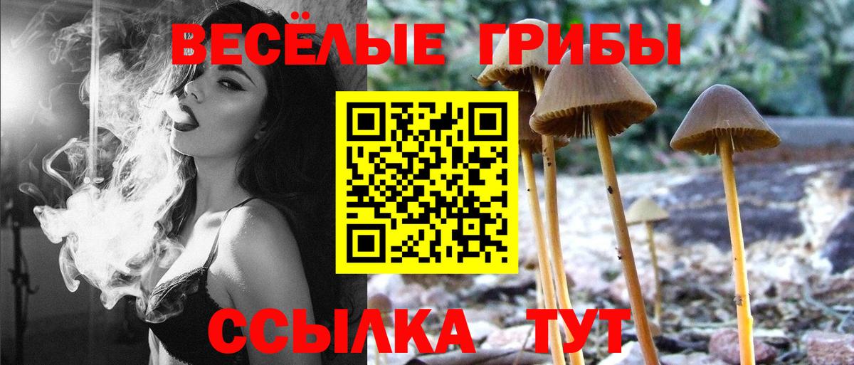 Псилоцибиновые грибы мицелий Канск